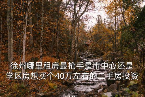  徐州哪里租房最抢手是市中心还是 学区房想买个40万左右的二手房投资...