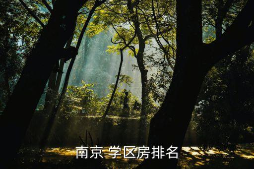 南京 学区房排名
