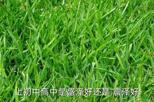 上初中高中是盛泽好还是 震泽好