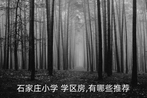 石家庄小学 学区房,有哪些推荐