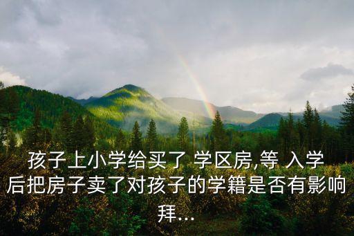 孩子上小学给买了 学区房,等 入学后把房子卖了对孩子的学籍是否有影响拜...