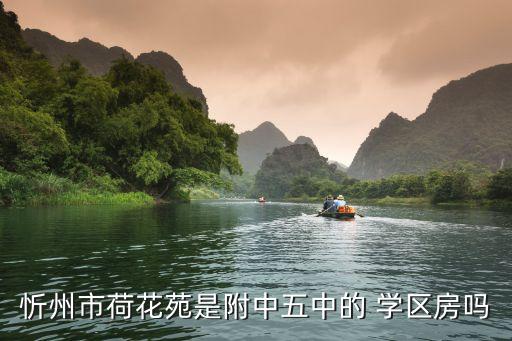忻州市荷花苑是附中五中的 学区房吗