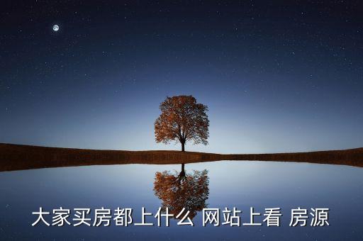 大家买房都上什么 网站上看 房源