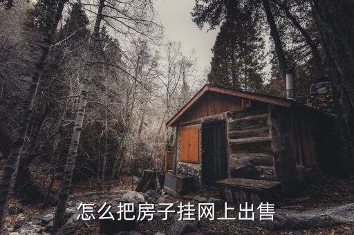 怎么把房子挂网上出售