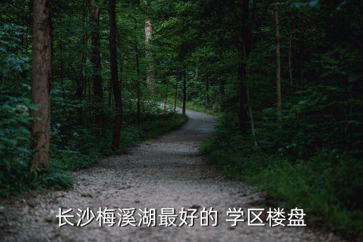 长沙梅溪湖最好的 学区楼盘