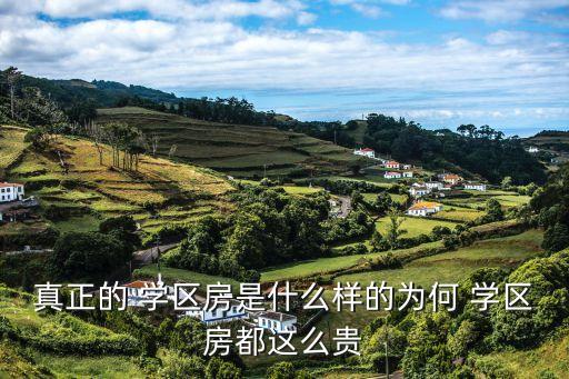 真正的 学区房是什么样的为何 学区房都这么贵