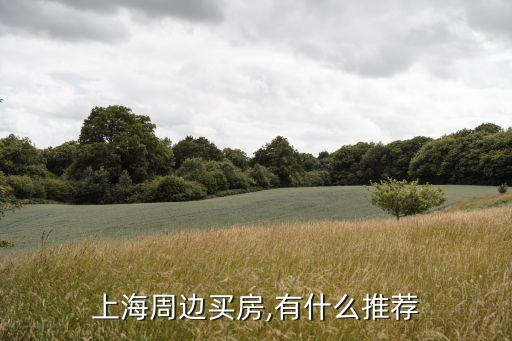 上海周边买房,有什么推荐
