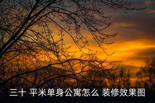 三十 平米单身公寓怎么 装修效果图