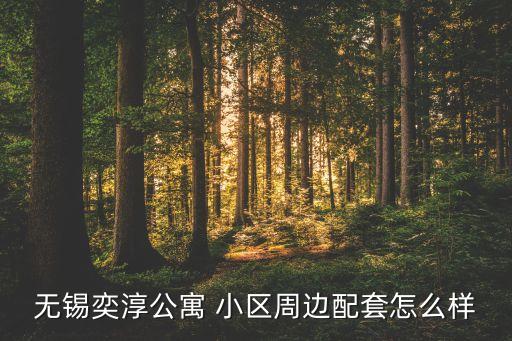 无锡奕淳公寓 小区周边配套怎么样