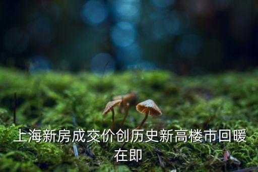  上海新房成交价创历史新高楼市回暖在即