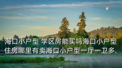 海口小户型 学区房能买吗海口小户型住房哪里有卖海口小户型一厅一卫多...