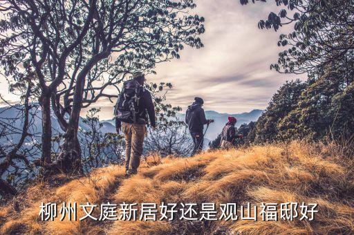  柳州文庭新居好还是观山福邸好