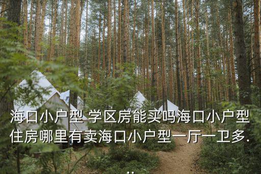 海口小户型 学区房能买吗海口小户型住房哪里有卖海口小户型一厅一卫多...