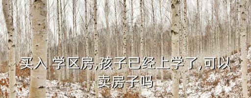 买入 学区房,孩子已经上学了,可以卖房子吗