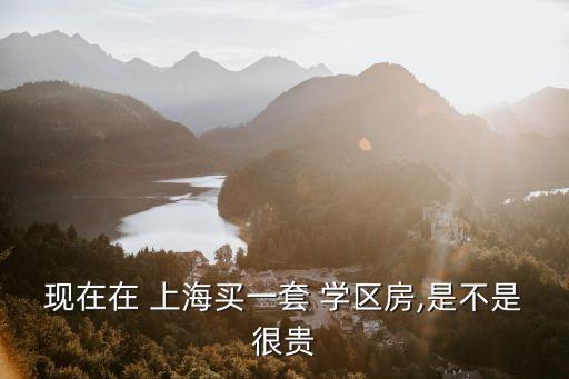 现在在 上海买一套 学区房,是不是很贵