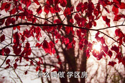 什么叫做 学区房