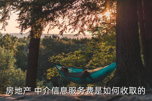 房地产 中介信息服务费是如何收取的