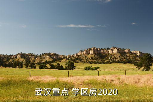 武汉重点 学区房2020