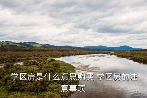  学区房是什么意思购买 学区房的注意事项