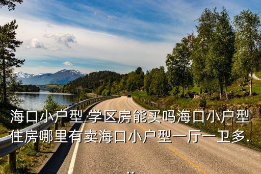 海口小户型 学区房能买吗海口小户型住房哪里有卖海口小户型一厅一卫多...