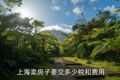  上海卖房子要交多少税和费用