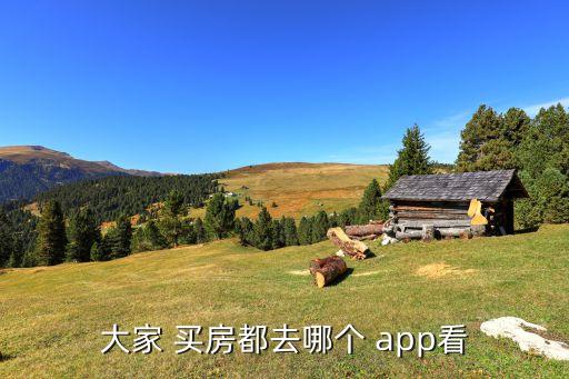 大家 买房都去哪个 app看