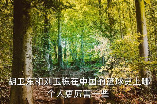  胡卫东和刘玉栋在中国的篮球史上哪个人更厉害一些