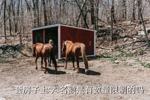 一套房子上学 名额是有数量限制的吗