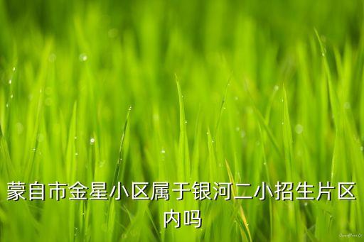 蒙自市金星小区属于银河二小招生片区内吗