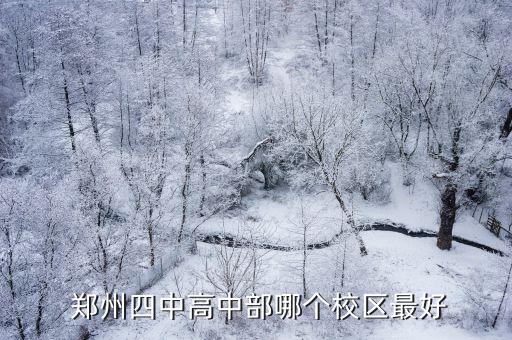  郑州四中高中部哪个校区最好