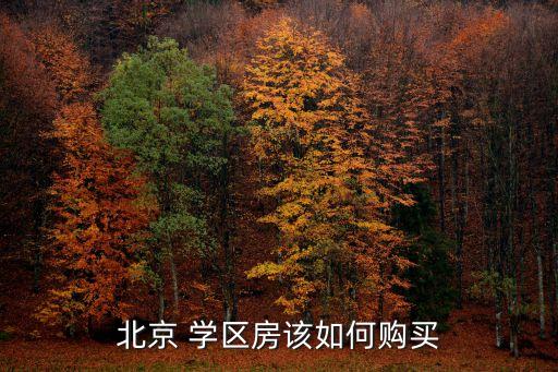 北京 学区房该如何购买
