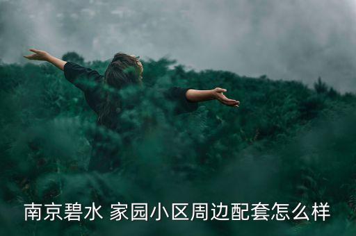 南京碧水 家园小区周边配套怎么样