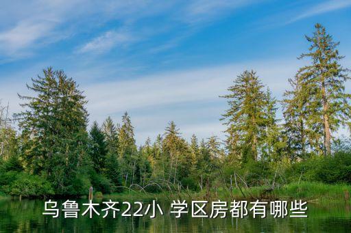 乌鲁木齐22小 学区房都有哪些