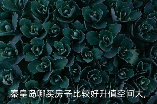 秦皇岛哪买房子比较好升值空间大,