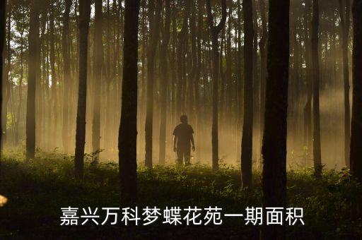  嘉兴万科梦蝶花苑一期面积