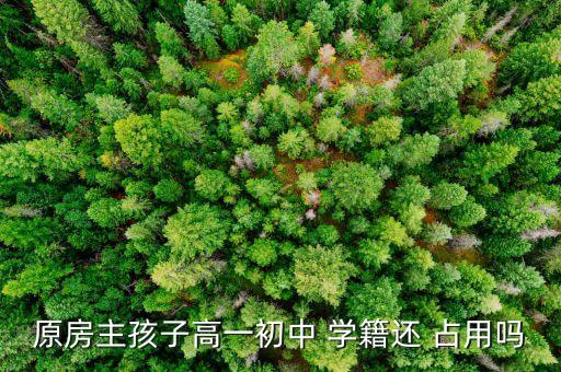 丹东学区房学籍被占用多久能恢复