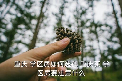  重庆 学区房如何选在 重庆买 学区房要注意什么