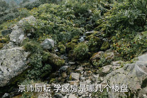 京师励耘 学区房是哪几个楼盘