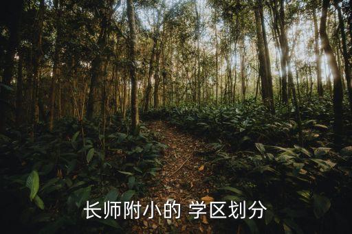 长师附小的 学区划分
