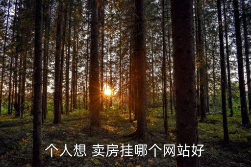 个人想 卖房挂哪个网站好