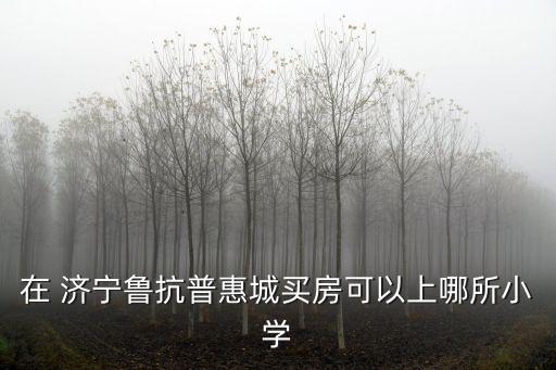 在 济宁鲁抗普惠城买房可以上哪所小学