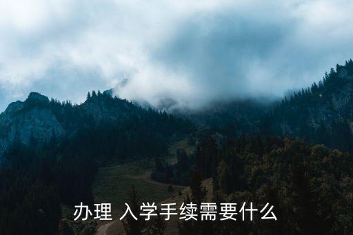 办理 入学手续需要什么