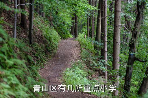 武汉青山有哪些学区房,包头青山学区房有哪些