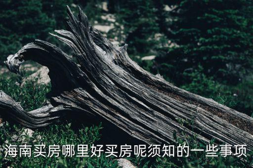 海南买房哪里好买房呢须知的一些事项
