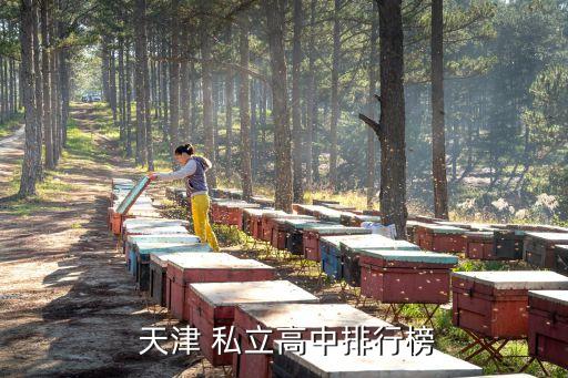 天津私立小学排名前十