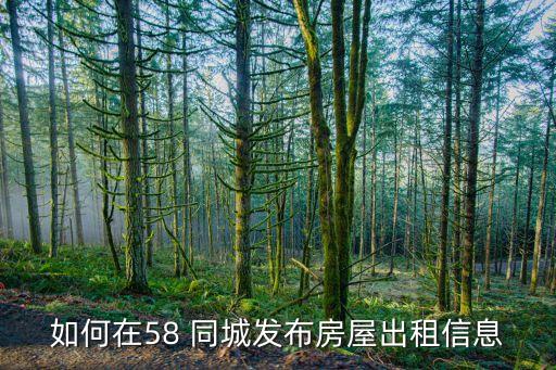 58同城怎么租房流程的