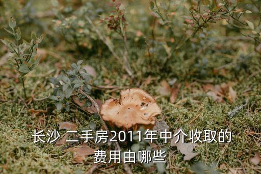  长沙 二手房2011年中介收取的费用由哪些