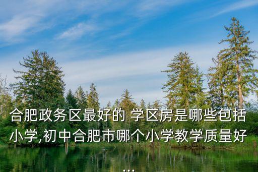 合肥政务区最好的 学区房是哪些包括小学,初中合肥市哪个小学教学质量好...