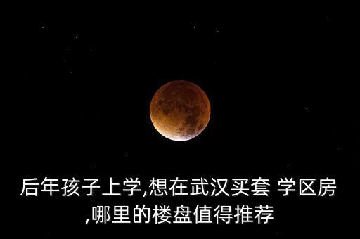 后年孩子上学,想在武汉买套 学区房,哪里的楼盘值得推荐