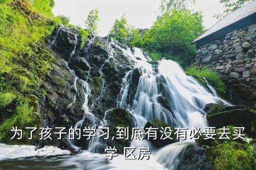 为了孩子的学习,到底有没有必要去买学 区房